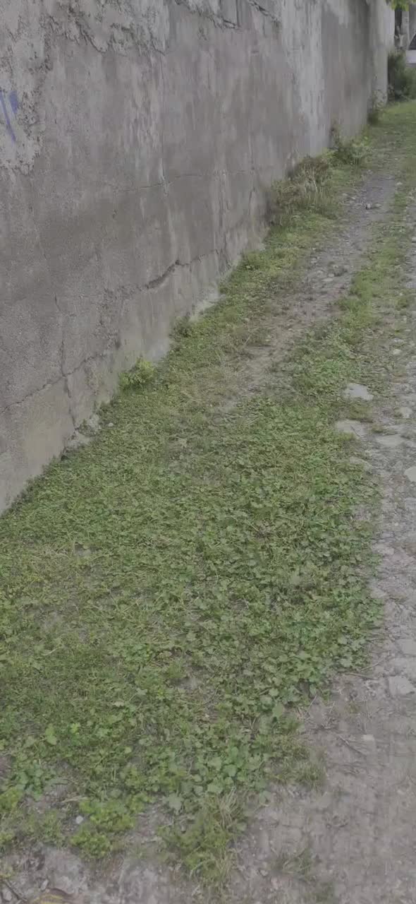 فروش خانه ویلایی دوبلکس سند دار در روستای اسکولک|فروش خانه و ویلا|رستم‌آباد, |دیوار