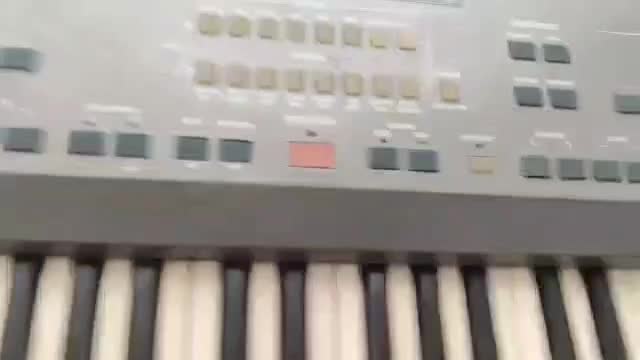 کرگ is40|پیانو، کیبورد، آکاردئون|تبریز, |دیوار