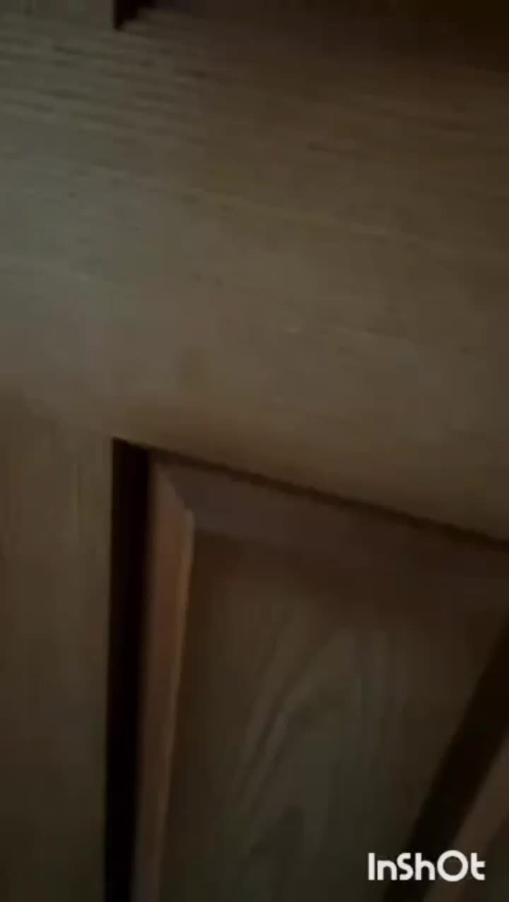 فروش یک واحدآپارتمان دوخوابه|فروش آپارتمان|کازرون, |دیوار