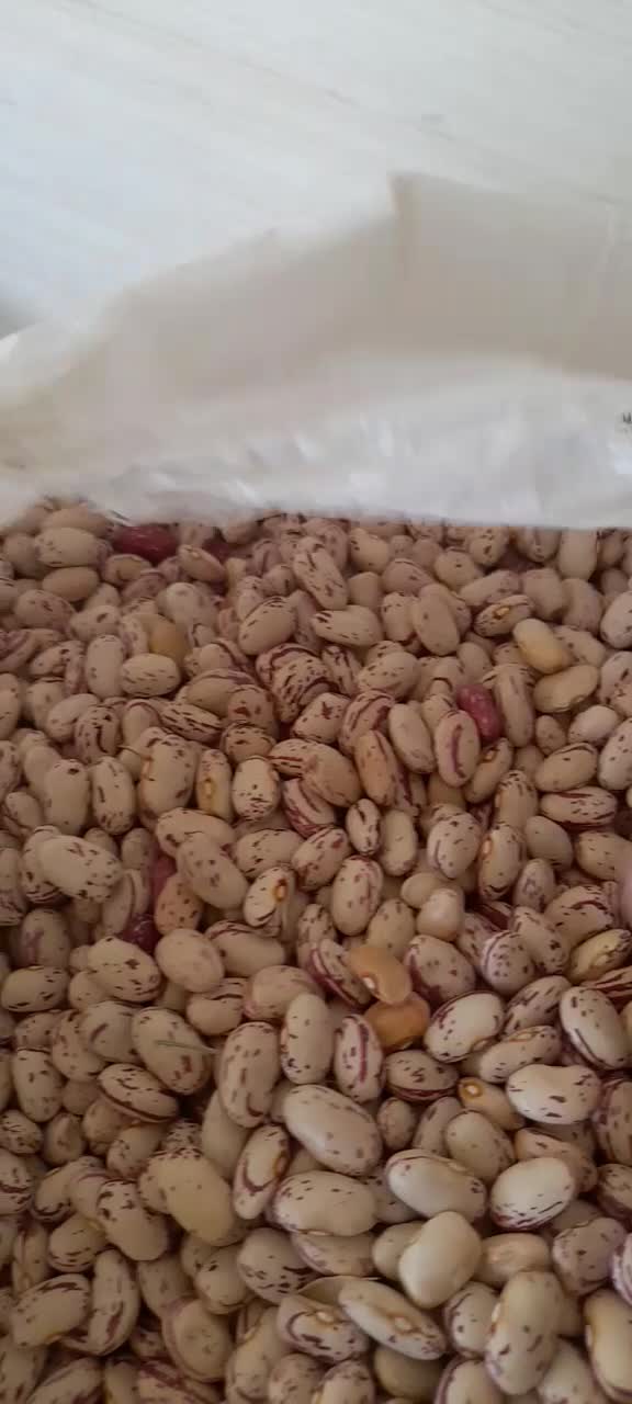 فروش لوبیا چیتی اعلا سرحد یاسوج در نوراباد|خوردنی و آشامیدنی|نورآباد ممسنی, |دیوار