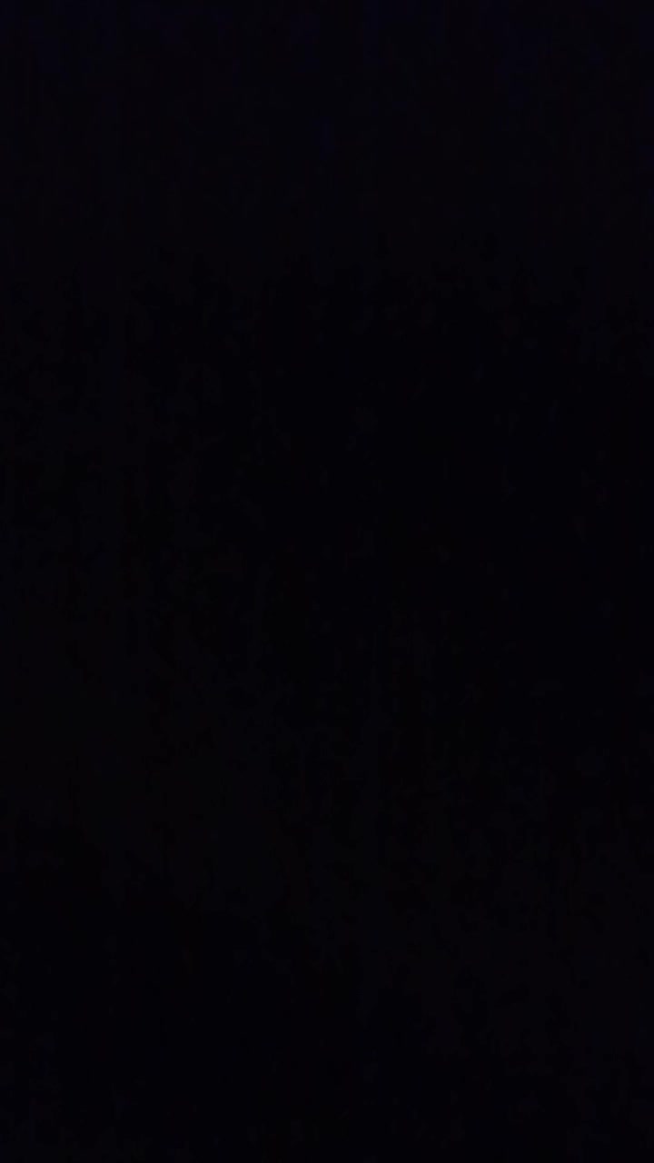 کبوتر پرشی شازده زرد و قرمز .سیاه زغالی|پرنده|داران, |دیوار