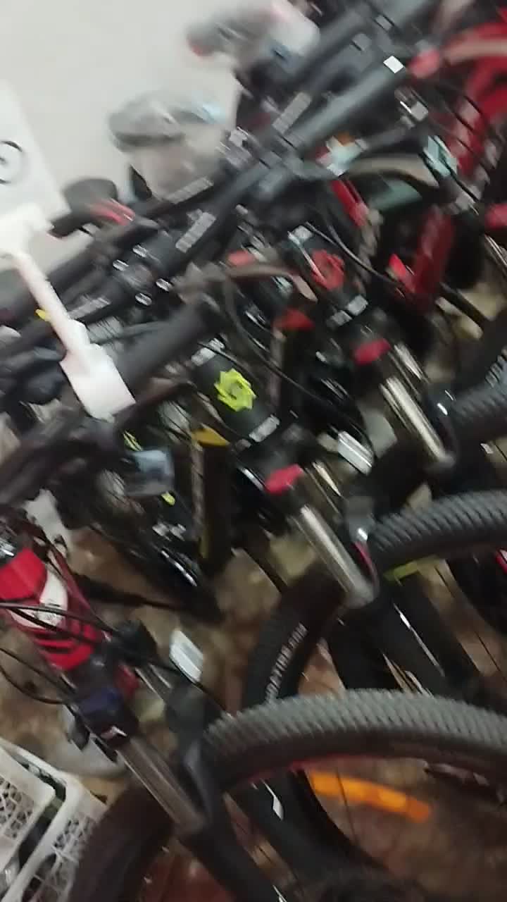 دوچرخه همه مارک|دوچرخه، اسکیت، اسکوتر|کاشان, بازار کاشان|دیوار