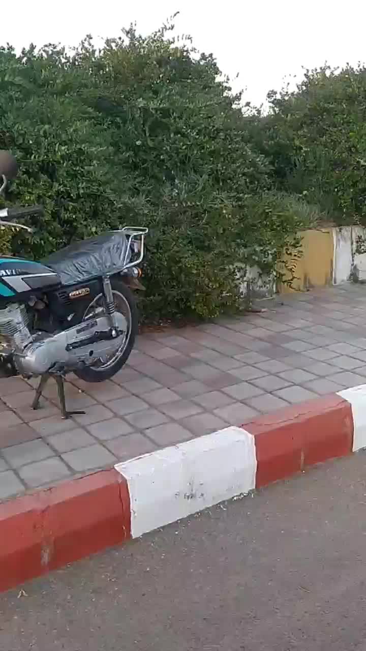 موتور کویر 125|موتورسیکلت|میاندوآب, |دیوار