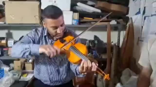 ویولن|ویولن|تهران, استاد معین|دیوار