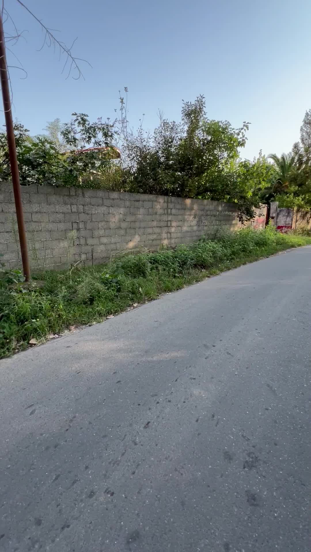 زمین مسکونی دور دیوار بازدیدکنید انتخاب قطعی شماست|فروش زمین و ملک کلنگی|خمام, |دیوار
