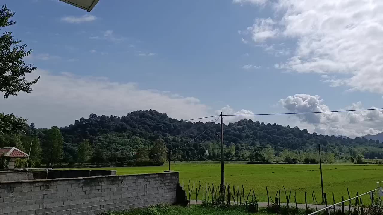 ویلا ویو جنگل شالیزار جای دنج آرامش|اجارهٔ کوتاهمدت ویلا و باغ|ماکلوان, |دیوار