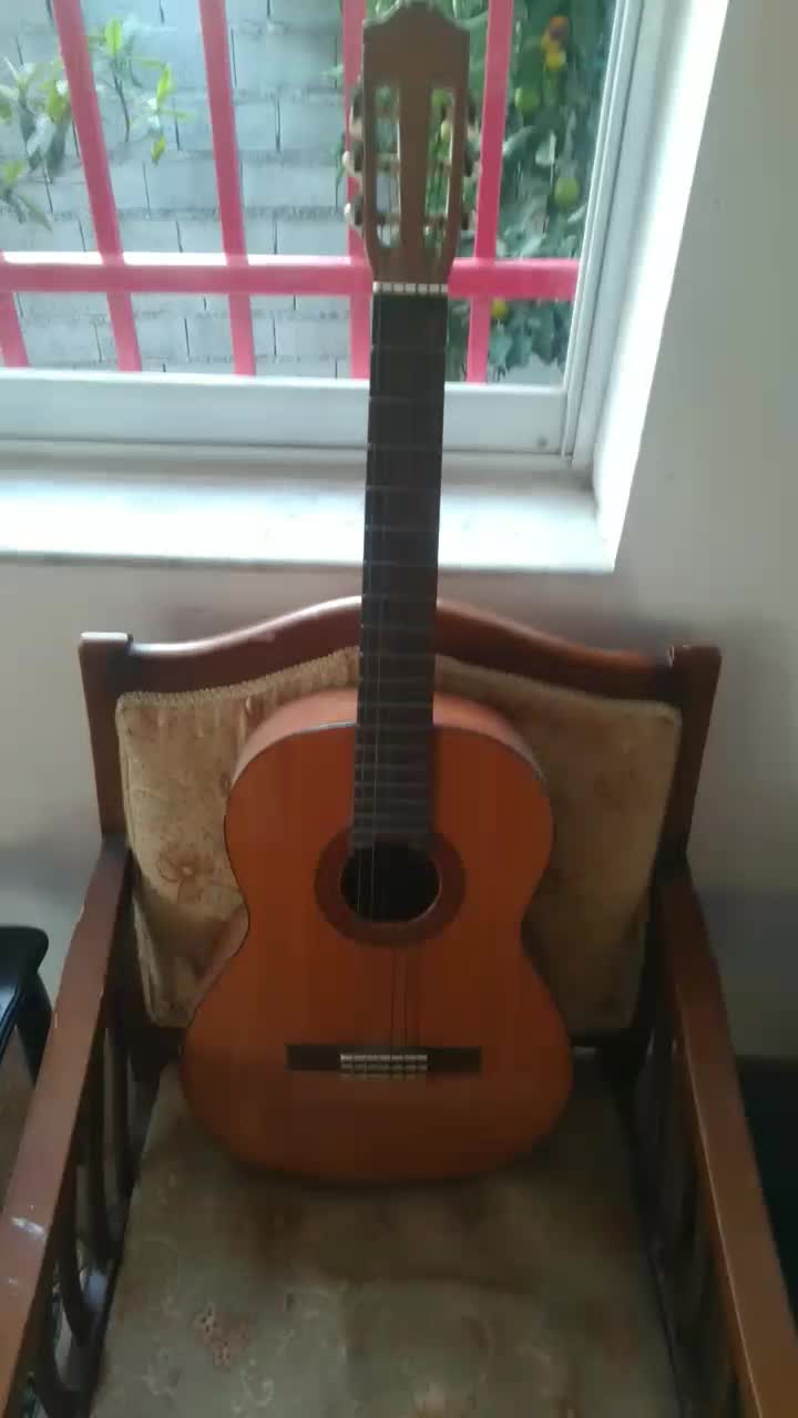 گیتار سی چهل|گیتار، بیس، امپلیفایر|قائم‌شهر, |دیوار