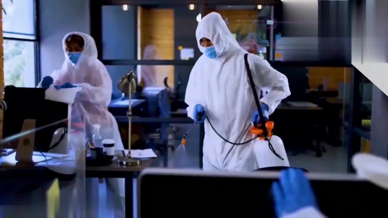 سم پاشی تضمینی تحت نظر دکتری حشره شناسی، مجوز رسمی|خدمات نظافت|کرمانشاه, |دیوار