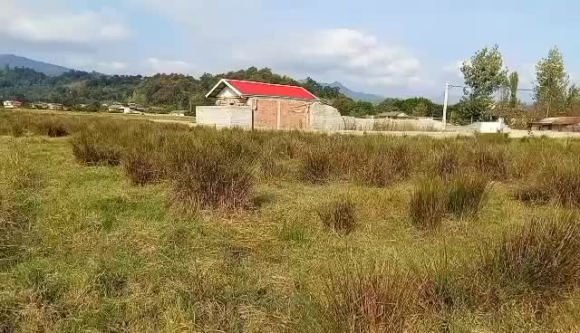 زمین فروشی وماوضه زمین باماشین وآپارتمان|پیشفروش املاک|تالش, هشتپر|دیوار