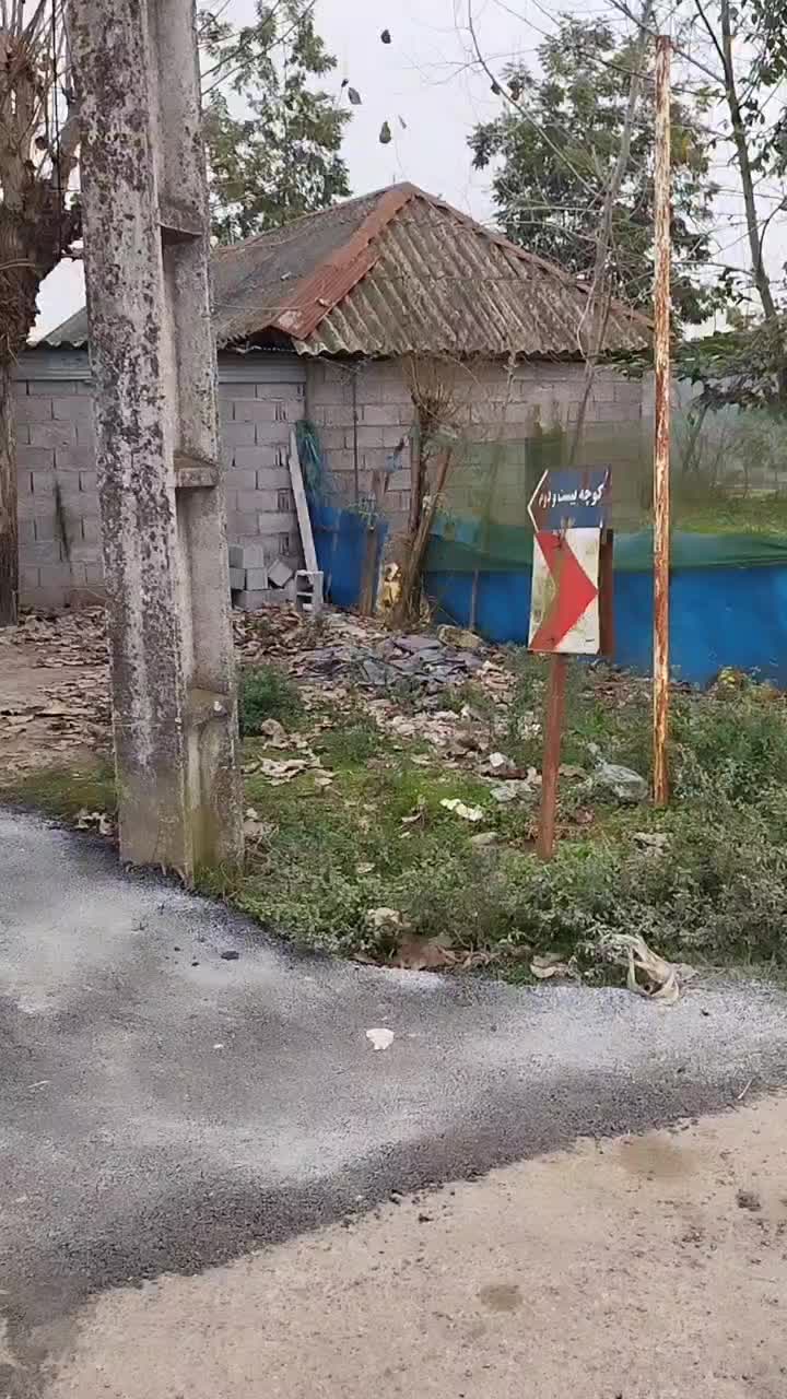 ویلایی  بزرگ   فروشی|فروش خانه و ویلا|رشت, سیا اسطلخ|دیوار