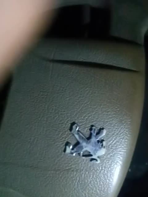 فروش 405|خودرو سواری و وانت|سیرجان, |دیوار