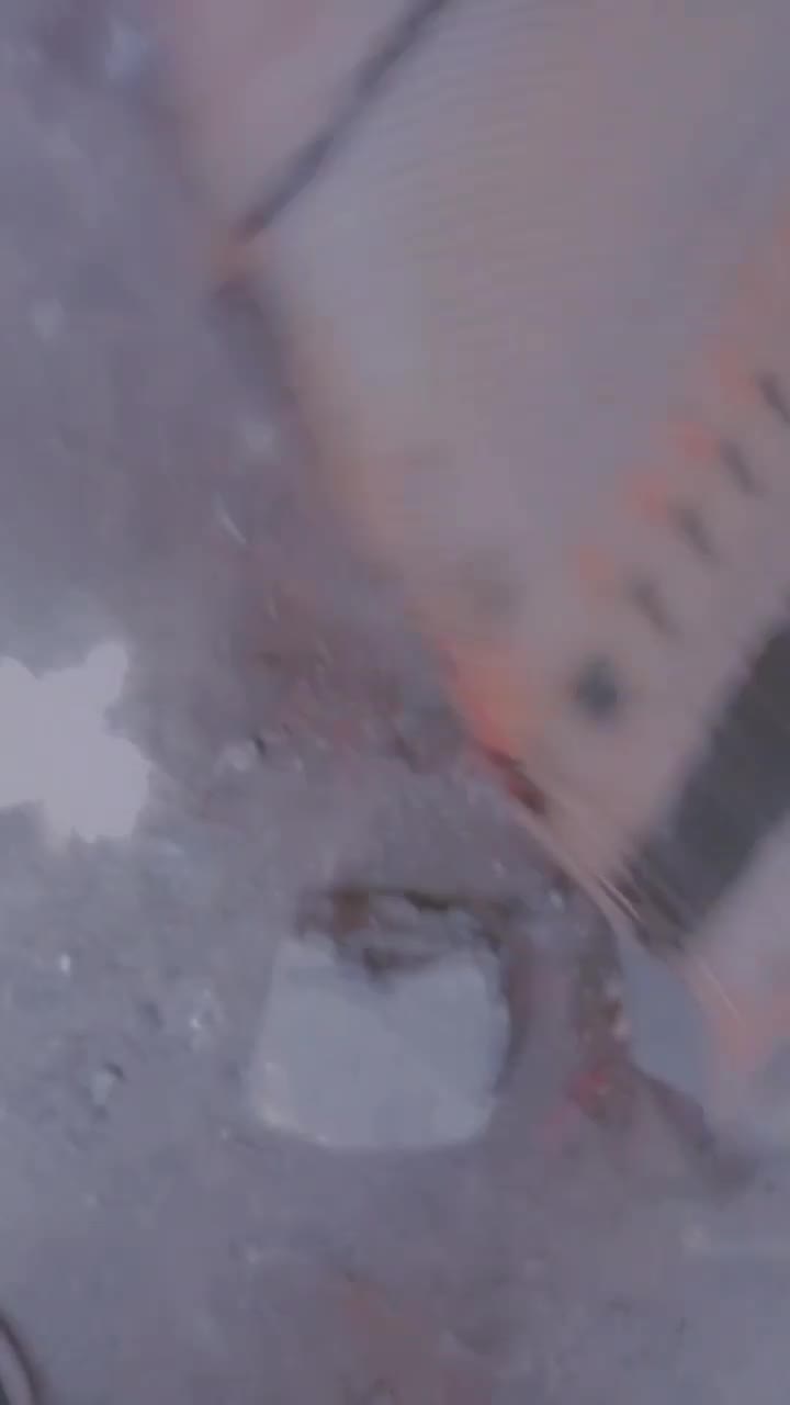 پاکوتاه|سگ|گلبهار, نوبهار|دیوار