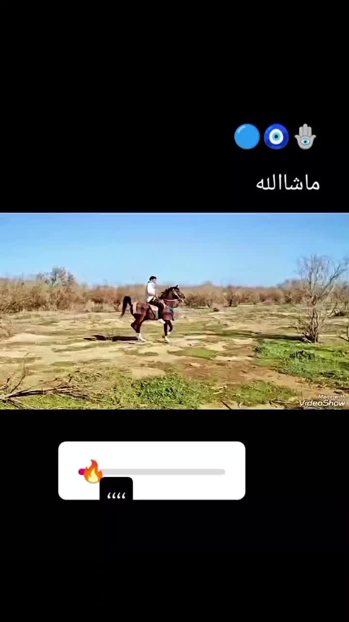 اسب|اسب و تجهیزات اسب‌سواری|شوش, |دیوار