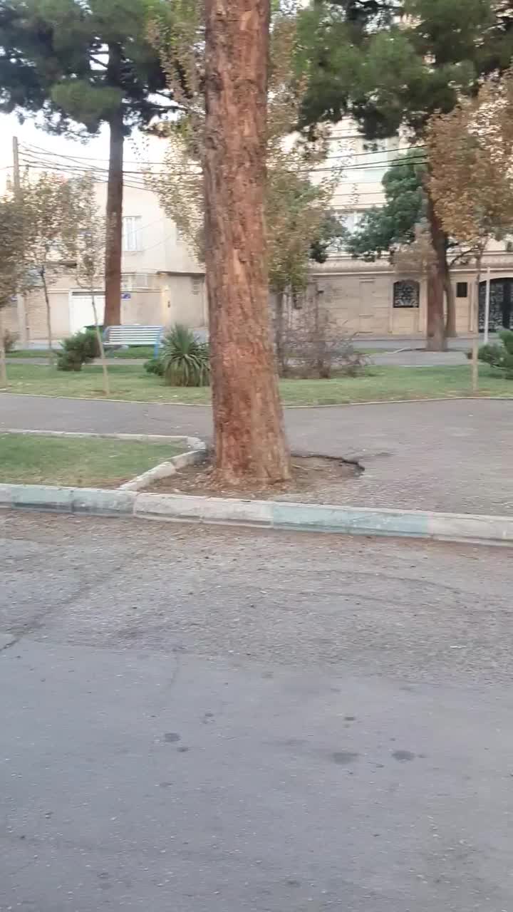 یک واحد آپارتمان اجاره ای خیابان تختی|اجارهٔ آپارتمان|نیشابور, فردوس شمالی|دیوار