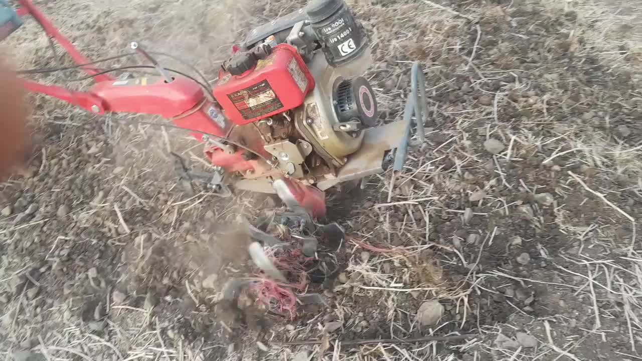 شخم زدن با تیلرکلتیواتر|خدمات باغبانی و درختکاری|الشتر, |دیوار