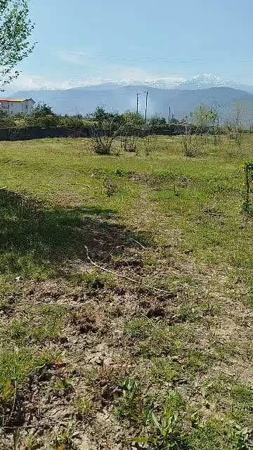 یک قطعه زمین ۱۳۲۵ متری|فروش زمین و ملک کلنگی|نشتارود, |دیوار