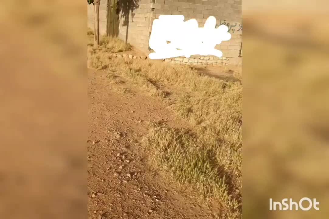 زمین براخونه باغ|فروش زمین و ملک کلنگی|کوهدشت, |دیوار