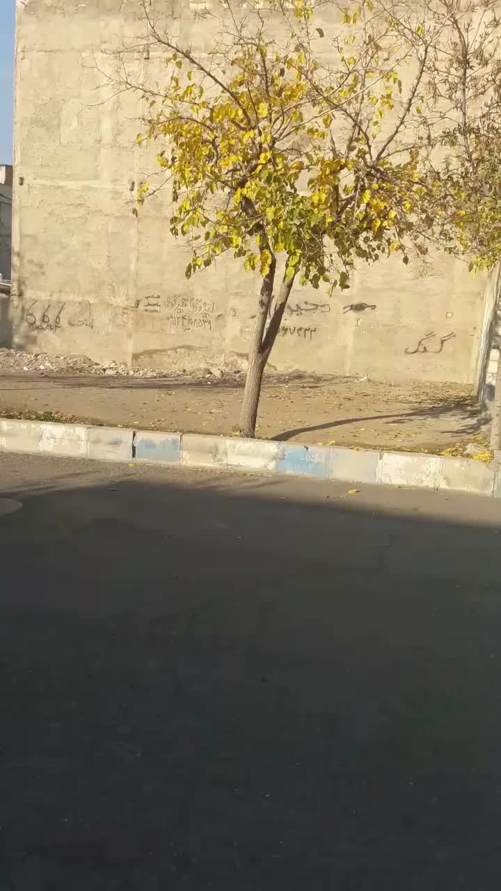 فروش زمین با جواز ساخت ۴ طبقه سه واحد|فروش زمین و ملک کلنگی|کرج, شهرک ظفر|دیوار