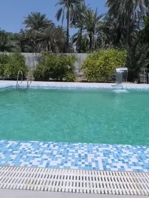 استخر|اجارهٔ کوتاه‌مدت ویلا و باغ|میناب, |دیوار