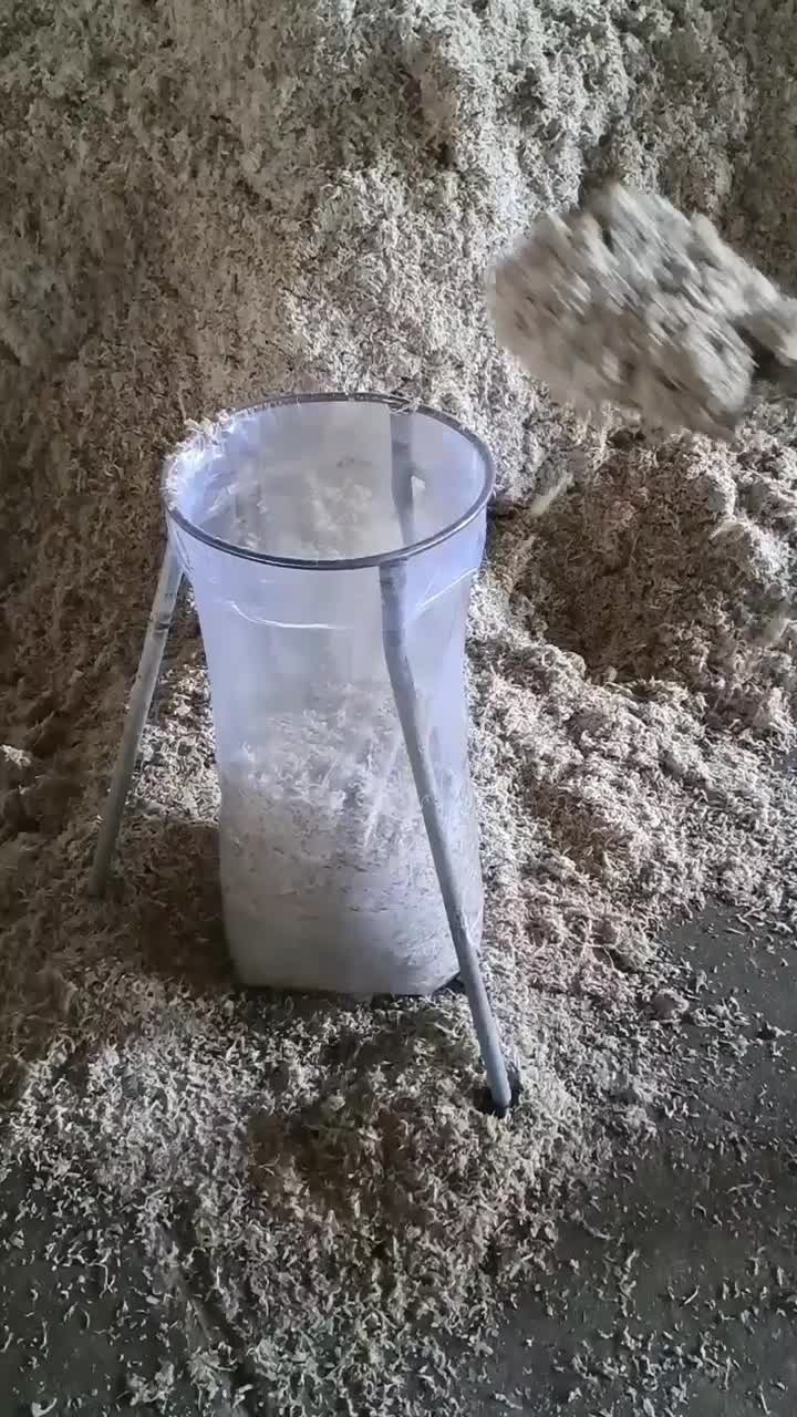 تفاله چغندرخشک فشنگی وتر بارطوبت کم باقیمت منصفانه|لوازم جانبی حیوانات|میاندوآب, |دیوار