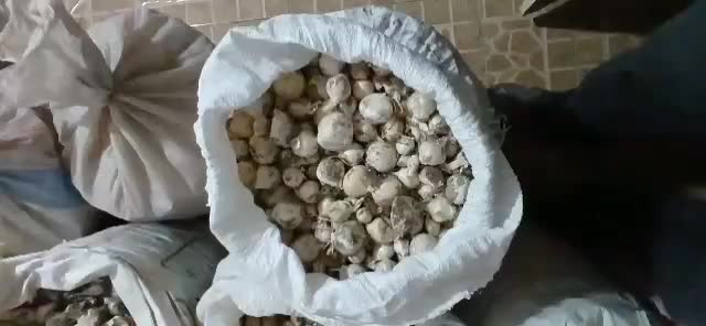 موسیر کوهی|خوردنی و آشامیدنی|نجف‌آباد, گلدشت|دیوار