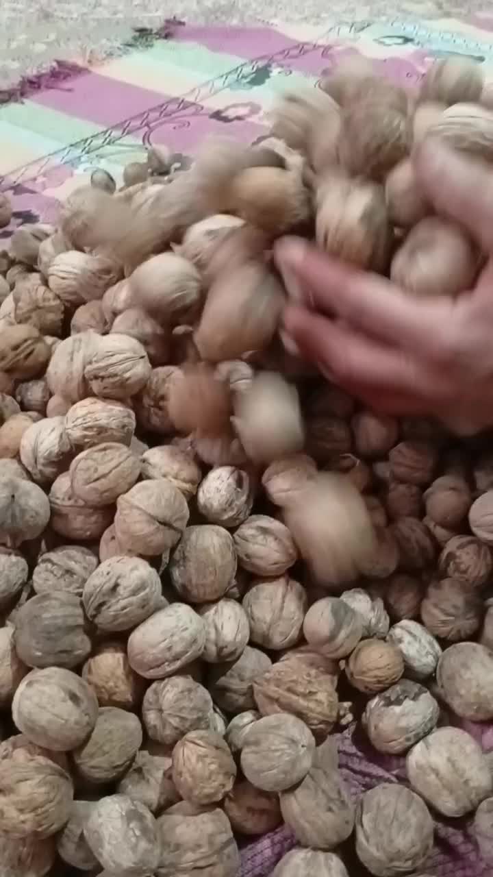 گردویاسوج|خوردنی و آشامیدنی|شیراز, دشت چنار|دیوار