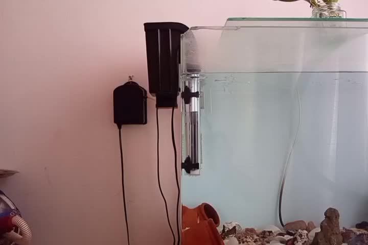 اکواریوم شیشه خم قوی فوری|ماهی|پرند, فاز ۶|دیوار