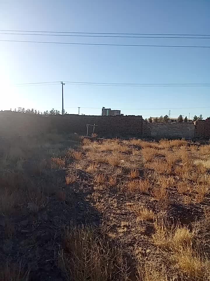 فروش ملک زراعی صنعتی|فروش زمین و ملک کلنگی|تربت‌حیدریه, پائین ولایت|دیوار