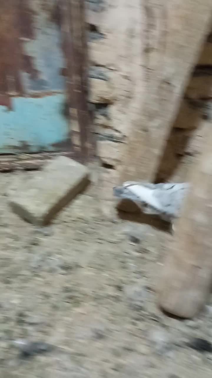 هفرنگ ماده خشکل هوایی|پرنده|خلیل آباد, |دیوار