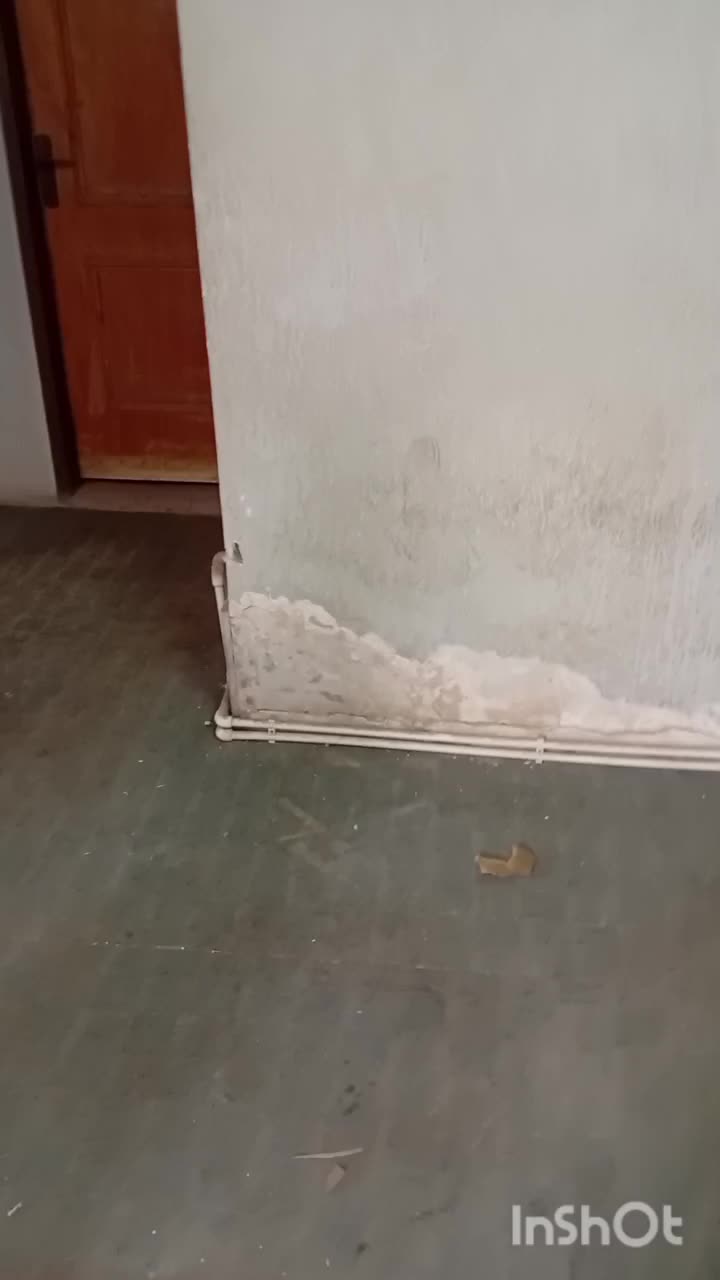 اجاره مغازه خیابان امام|اجارهٔ مغازه و غرفه|سیرجان, |دیوار