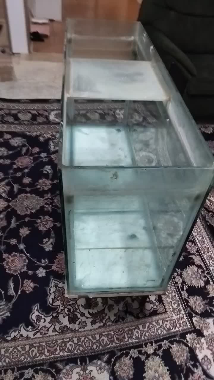 اکواریوم بزرگ فروش فوری.|ماهی|آبیک, |دیوار