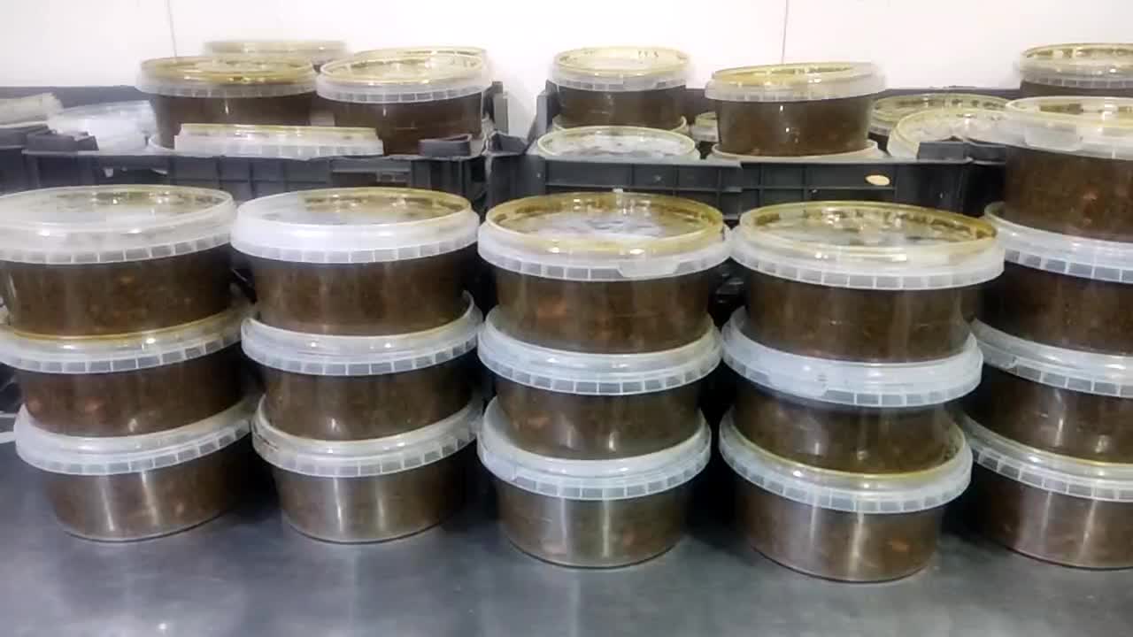 پیک|استخدام خدمات فروشگاه و رستوران|بوشهر, |دیوار