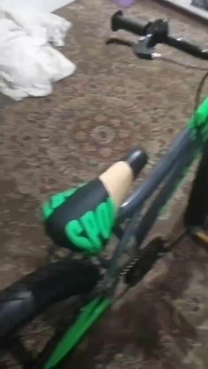 دوچرخه ویوا سبز رنگ نو|دوچرخه، اسکیت، اسکوتر|سبزوار, گلشن|دیوار