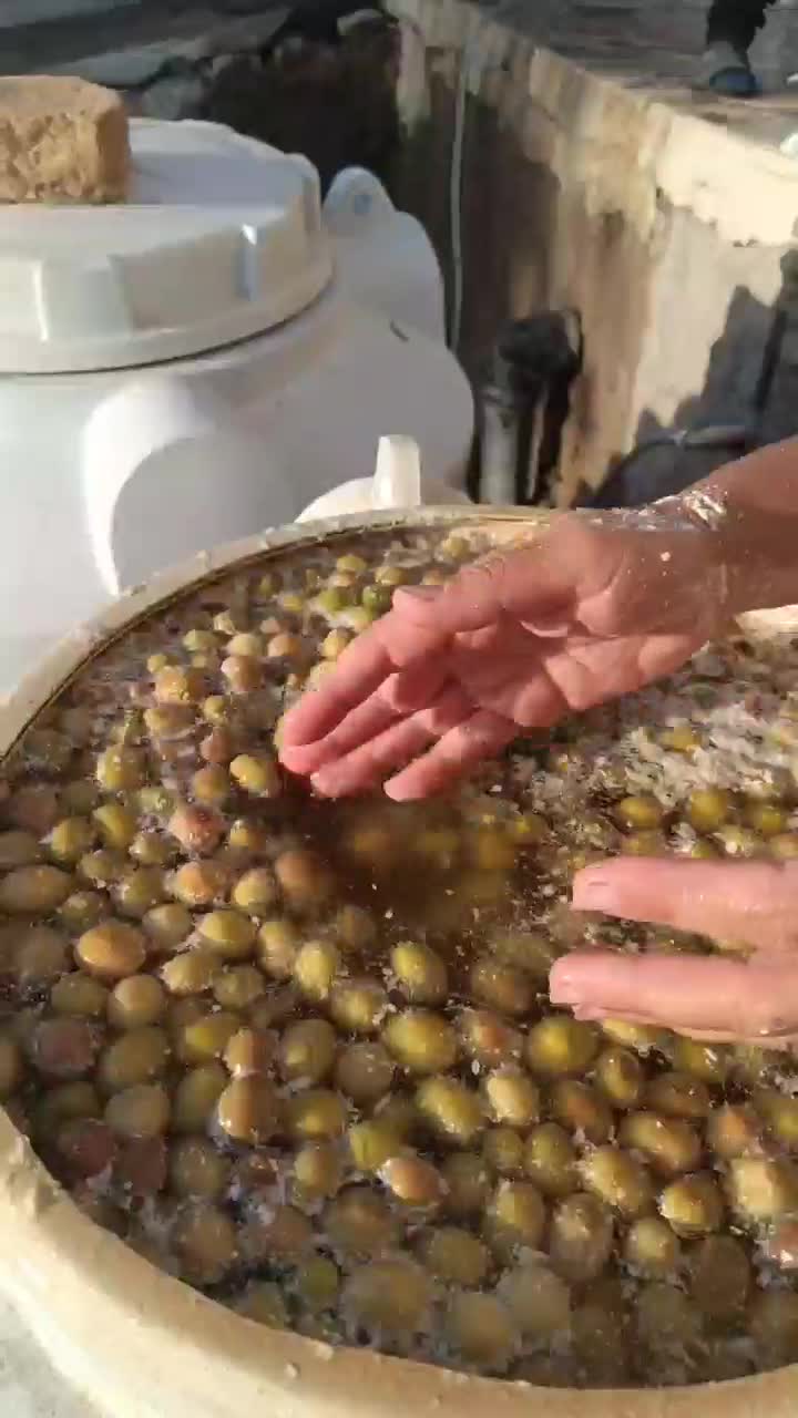 زیتون|خوردنی و آشامیدنی|طارم (زنجان), |دیوار