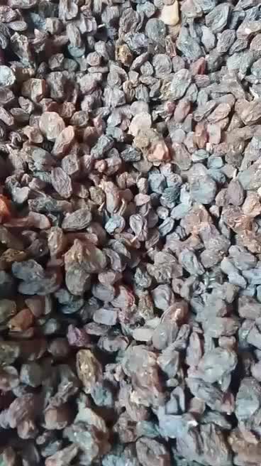 کشمش بیدانه آفتابی تاکستان پاک شده|خوردنی و آشامیدنی|تهران, بهداشت|دیوار