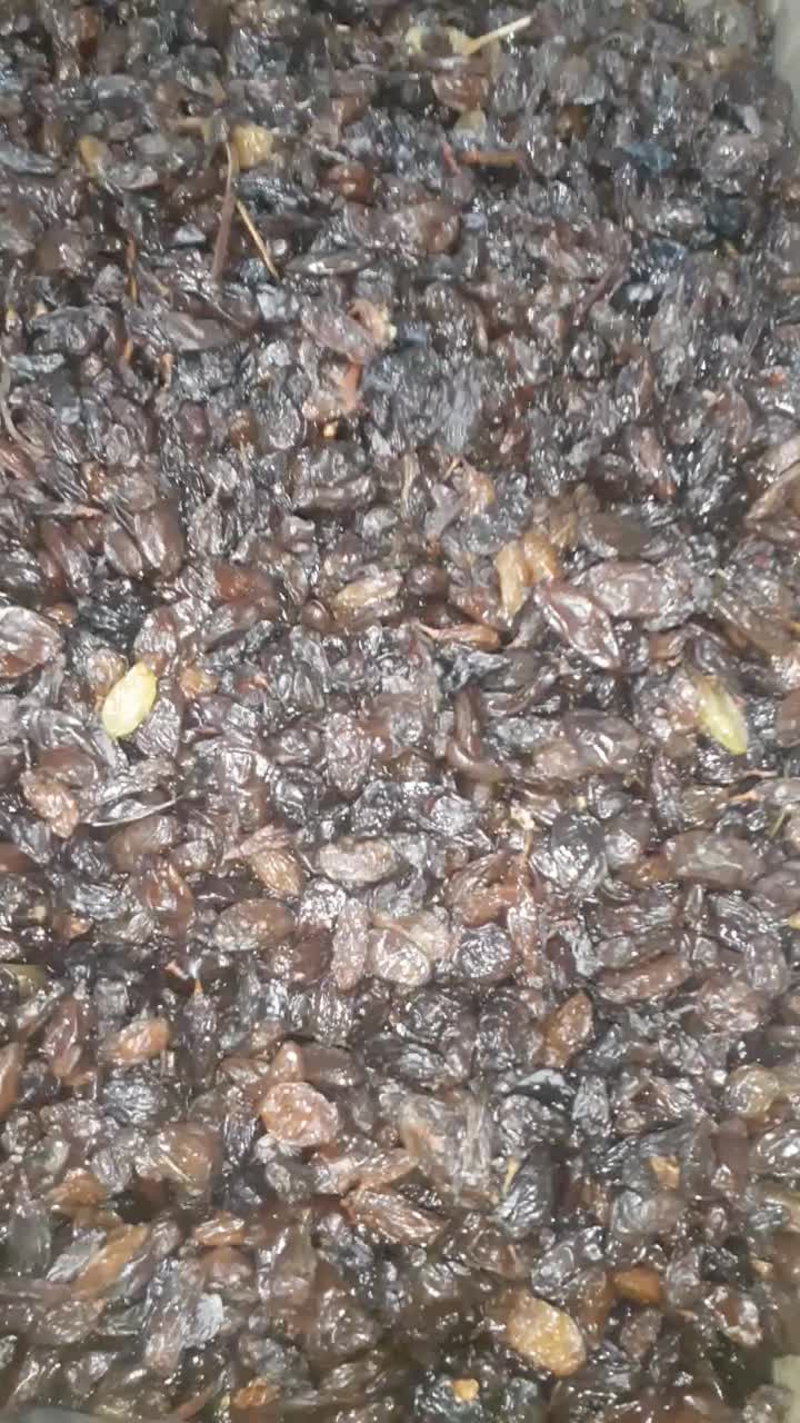 فروش انواع کشمش آفتابی و دودی|خوردنی و آشامیدنی|میانه, |دیوار