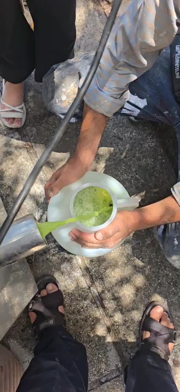 غور و آبغوره درجه یک کوار|خوردنی و آشامیدنی|شیراز, وحدت|دیوار