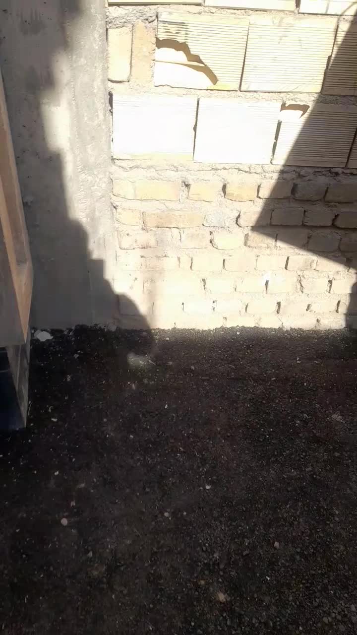 باربری حمل اثاثیه اتوبار +کارگر بسته بندی اسبابکشی|خدمات حمل و نقل|شاهرود, |دیوار