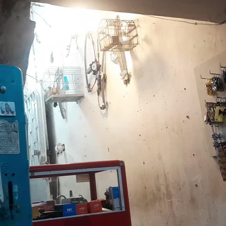 سهره گل بلند نر|پرنده|شیراز, شهرک جماران|دیوار