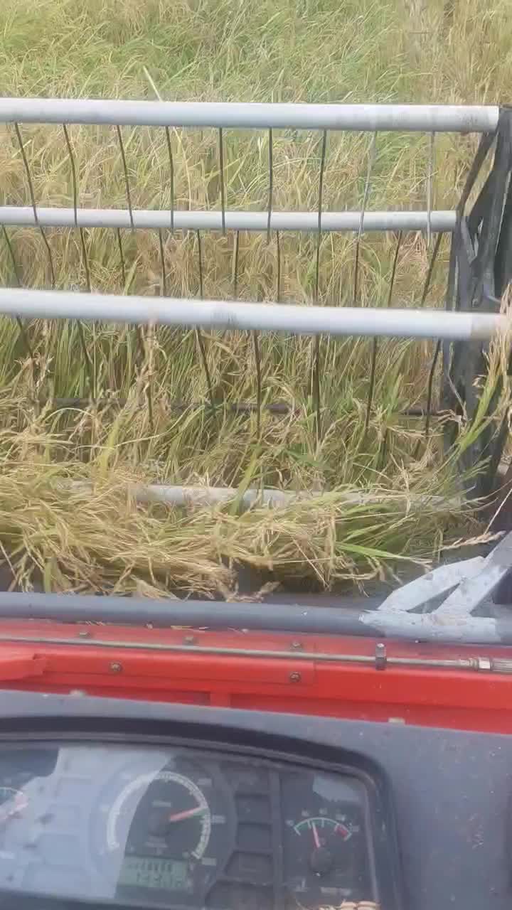 کمباین ۲۰۱۹ لوک استار سرویس شده|خودرو سنگین|دابودشت, |دیوار