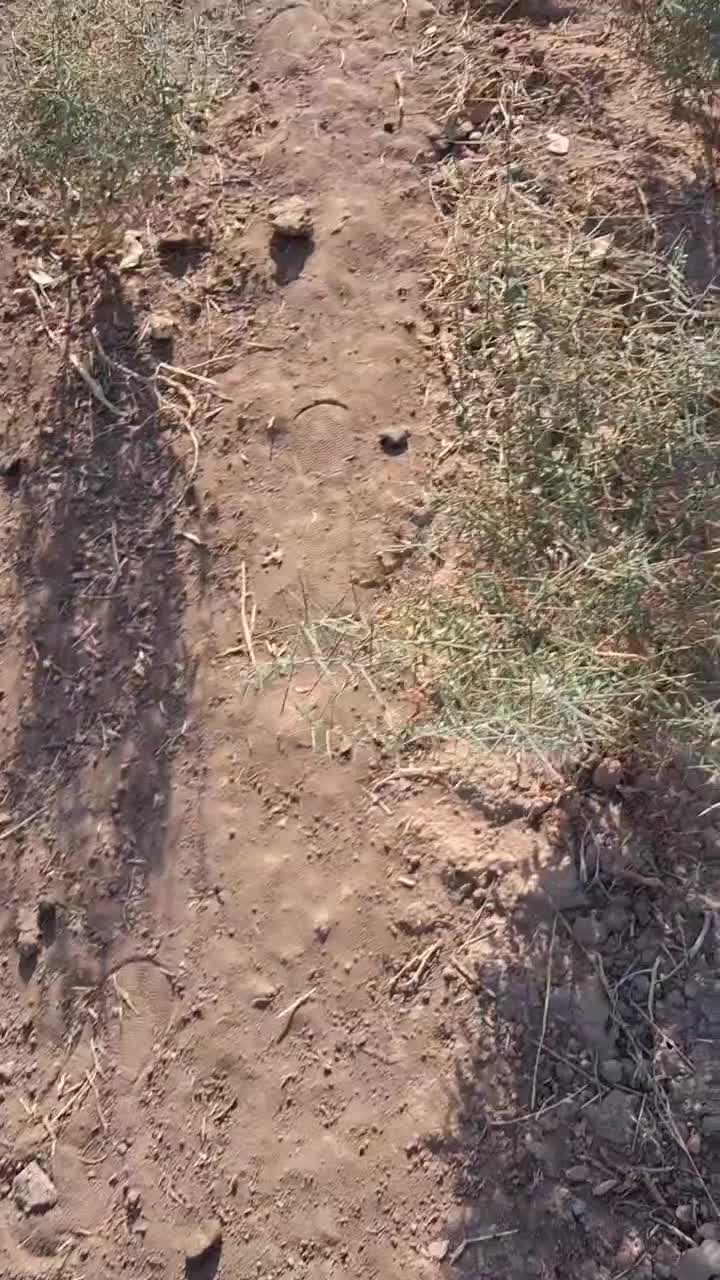 باغ پسته ۲۰ ساله، یک هکتار،فروش فوری(زیرقیمت )|فروش دفتر صنعتی، کشاورزی، تجاری|قنوات, |دیوار