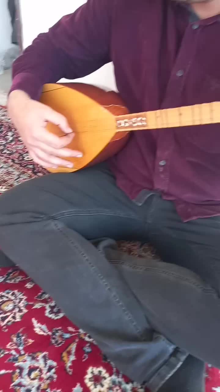 ساز دیوان ترکYLMAz|سازهای سنتی|سنندج, |دیوار