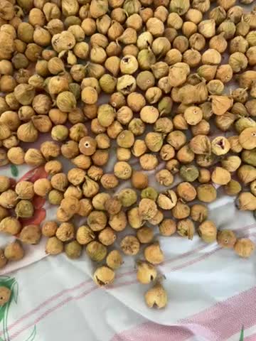 انجیر|خوردنی و آشامیدنی|نی‌ریز, |دیوار