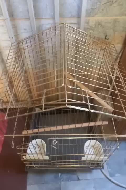 قفس پرنده بزرگ قفس عروس هلندی طلایی بزرگ|لوازم جانبی حیوانات|رباطکریم, شترخوار|دیوار