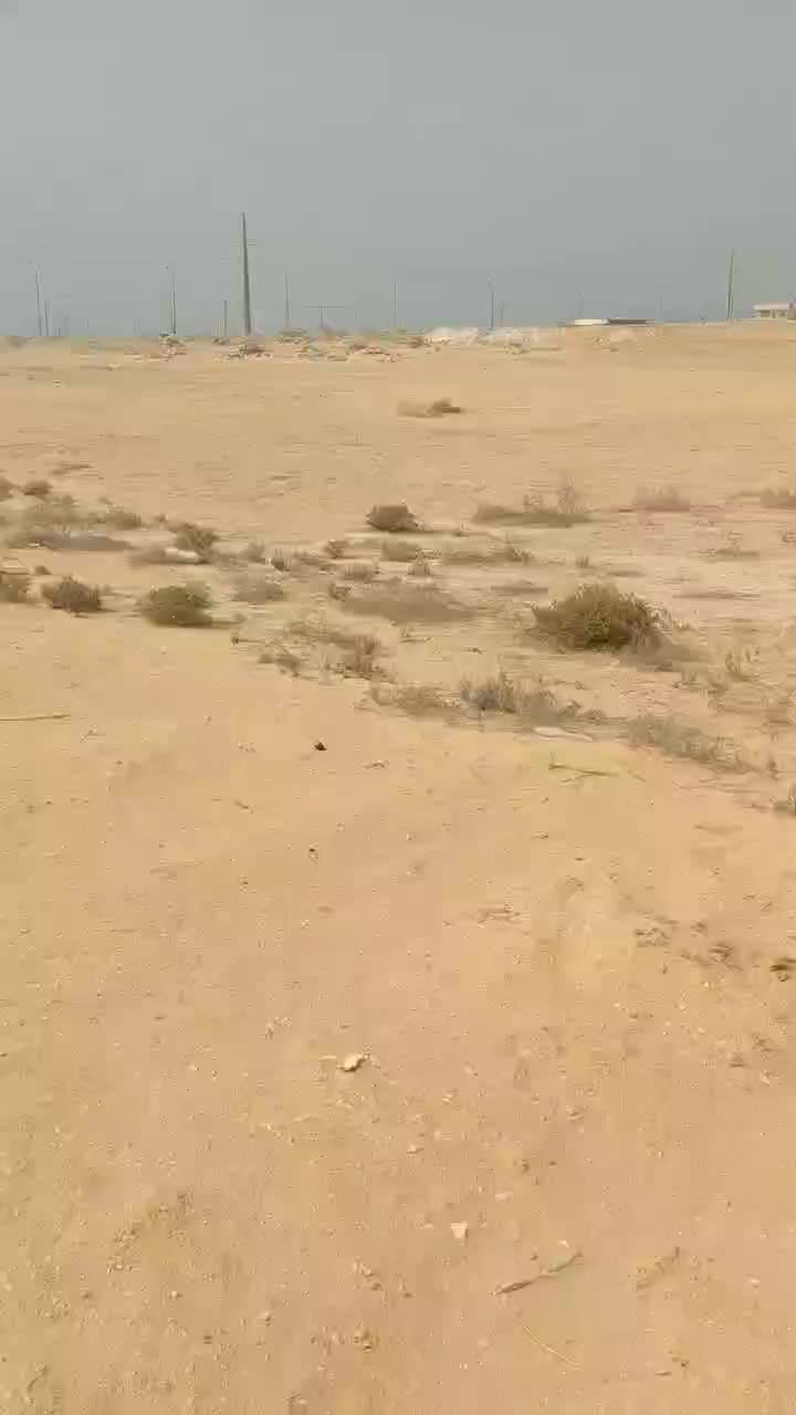 زمین فروشی آینده دار|فروش زمین و ملک کلنگی|درگهان, |دیوار