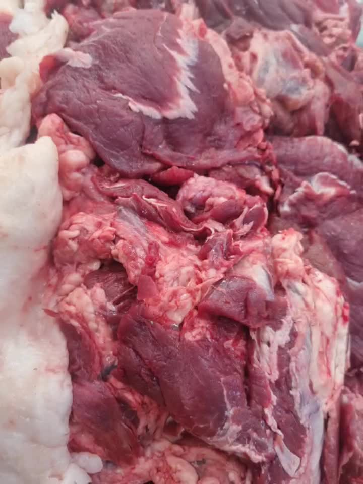 گوشت چرخکرده مخلوط گوساله و گوسفندی کیلو ۲۵۹تومان|خوردنی و آشامیدنی|قم, چهار مردان|دیوار