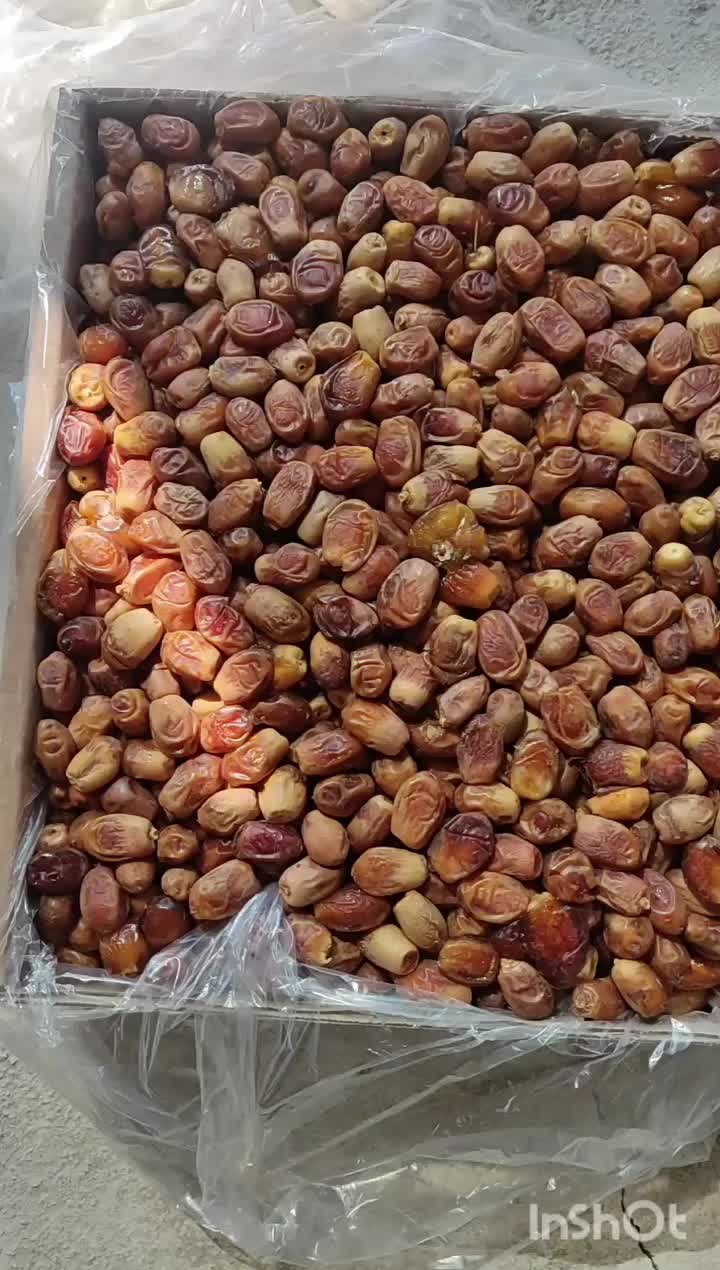 زاهدی (قصب)|عمده‌فروشی|بوشکان, |دیوار