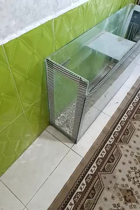 اکواریوم ابعاد 120|ماهی|اهر, |دیوار