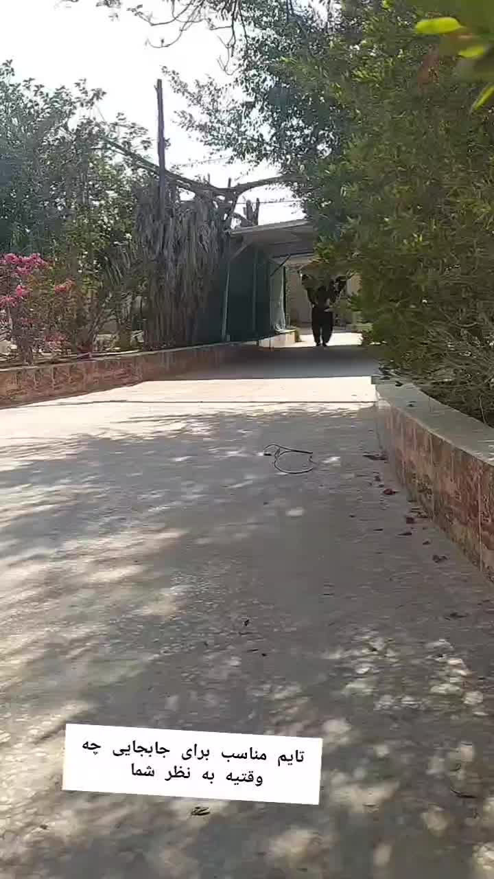 باربری تخصصی جابجایی اسباب اثاثیه منزل حق شناس|خدمات حمل و نقل|بوشهر, |دیوار