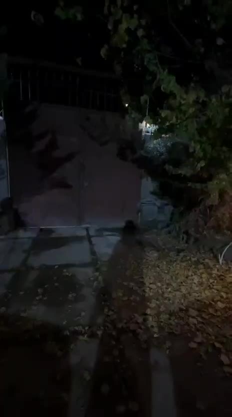 اجاره خونه باغ ویلا به صورت ساعتی و روزانه|اجارهٔ کوتاه‌مدت ویلا و باغ|شیراز, محمودآباد|دیوار